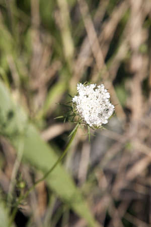 Die schöne Seite Kroatiensの写真素材