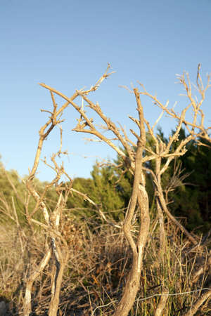 Die schöne Seite Kroatiensの写真素材