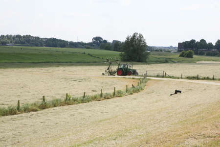 Auf dem Landの写真素材