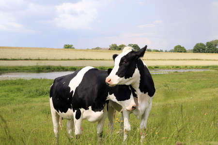 Auf dem Landの写真素材