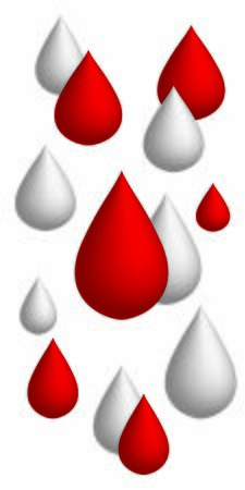 3d realistic Pink falling rain drops on the isolated white backgroundのイラスト素材