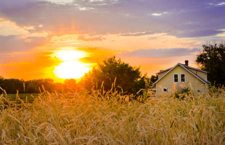 Sunset on the Homesteadの写真素材