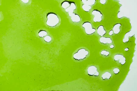 Abstract figure with organic shapes in green leaf colorのeditorial素材