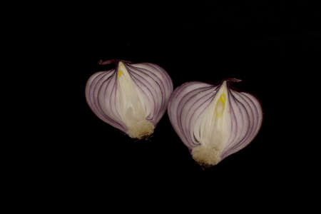 Red onion