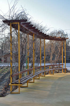 Exotic park bench in autumn の写真素材