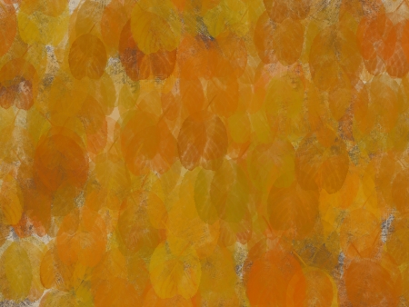 Grunge leaf background  の写真素材