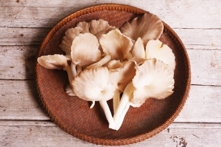 Sajor-caju Mushrooms in the threshing basket on wooden tableの写真素材