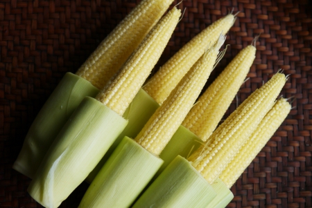 Baby Corns in the threshing basket on wooden tableの写真素材