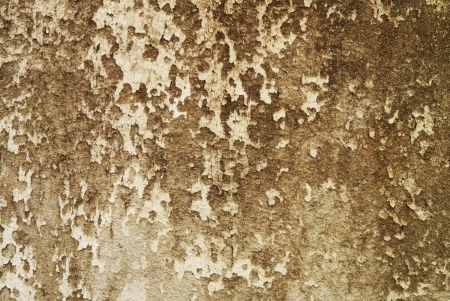 grunge cement wall background with lichen の写真素材