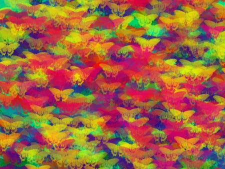 Colorful background with butterflyの写真素材
