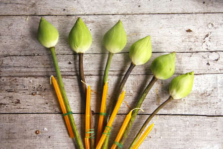 lotus with candle for worship buddhaの写真素材