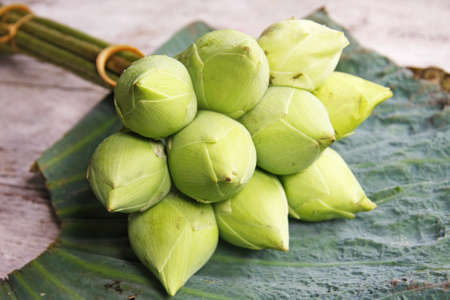 fresh bud lotus bouquet on woodenの写真素材