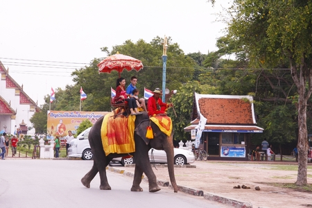 AYUTTHAYA, THAILAND - AUGUST 10   Tourist group rides on the backs of elephants visit the ancient city of Ayutthaya on August 10,2013 in Ayutthaya,Thailand のeditorial素材
