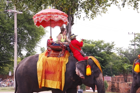AYUTTHAYA, THAILAND - AUGUST 10   Tourist group rides on the backs of elephants visit the ancient city of Ayutthaya on August 10,2013 in Ayutthaya,Thailand のeditorial素材