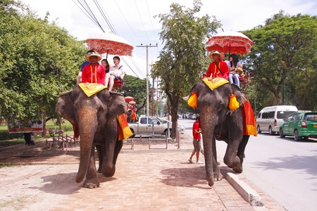AYUTTHAYA, THAILAND - AUGUST 10   Tourist group rides on the backs of elephants visit the ancient city of Ayutthaya on August 10,2013 in Ayutthaya,Thailand のeditorial素材