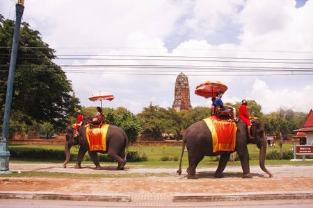 AYUTTHAYA, THAILAND - AUGUST 10   Tourist group rides on the backs of elephants visit the ancient city of Ayutthaya on August 10,2013 in Ayutthaya,Thailand のeditorial素材