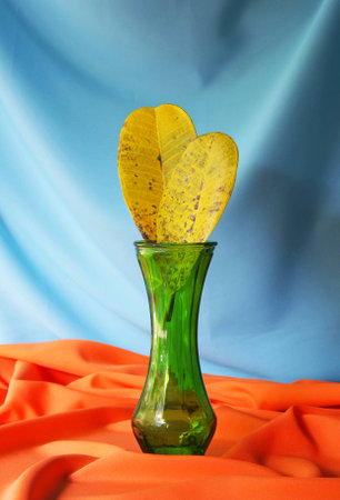Still life with yellow leaves in a vintage vase  の写真素材