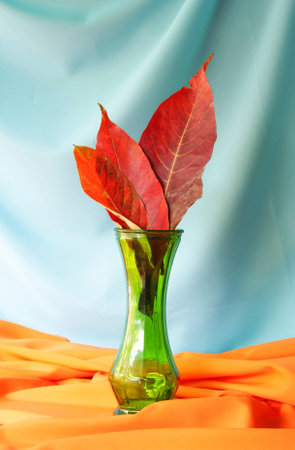Still life with red leaves in a vintage vase  の写真素材