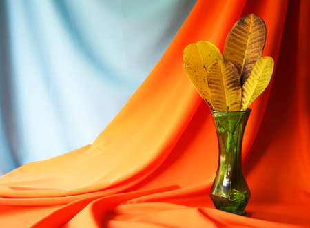 Still life with yellow leaves in a vintage vase  の写真素材