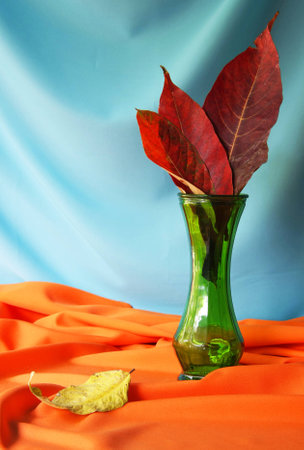 Still life with red leaves in a vintage vase  の写真素材