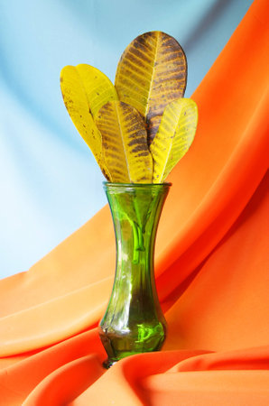 Still life with yellow leaves in a vintage vase  の写真素材