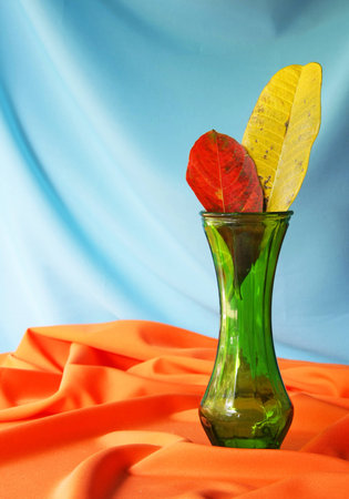 Still life with yellow and red leaves in a vintage vase  の写真素材