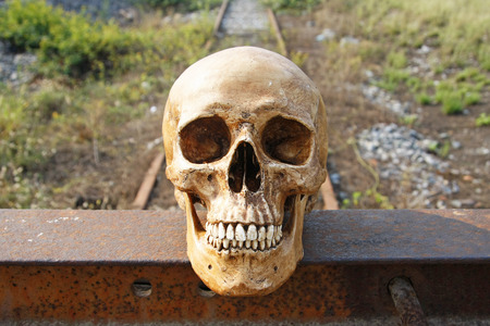 still life with skull human and railway,railroad background  