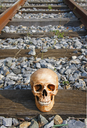 still life with skull human on railway tracks, railroad,wood tracks の写真素材