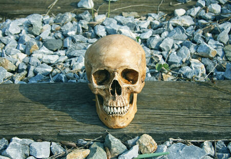 still life with skull human on railway tracks in retro filter effect life after death railroad,wood tracks の写真素材