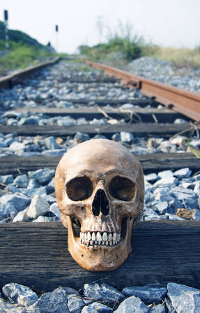 still life with skull human on railway tracks in retro filter effect life after death railroad,wood tracks の写真素材