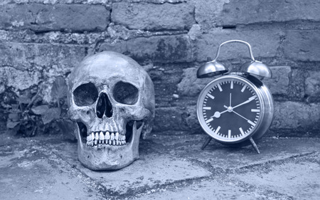 still life with skull human and alarm clock with old brick wall background .(black and white)の写真素材