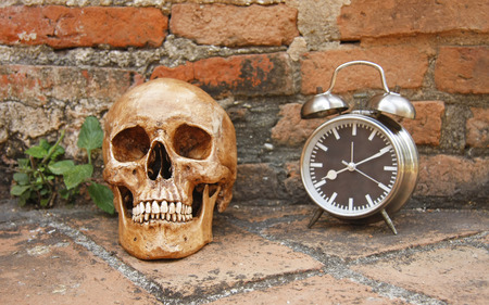 still life with skull human and alarm clock with old brick wall backgroundの写真素材