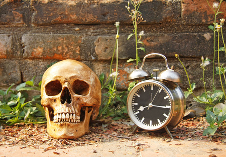 still life with skull human and alarm clock with old brick wall backgroundの写真素材