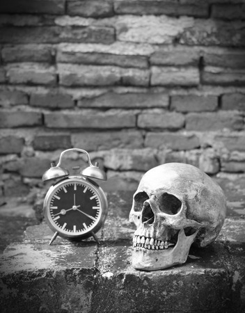 still life with skull human and alarm clock with old brick wall background .(black and white)の写真素材