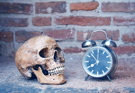 still life with skull human and alarm clock with old brick wall backgroundの写真素材