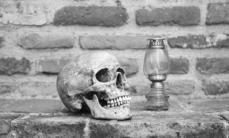 still life with skull human and oil lamp with old brick wall background.(black and white)の写真素材