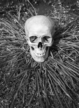 still life with skull human on dry ground in black and white filter effect.の写真素材