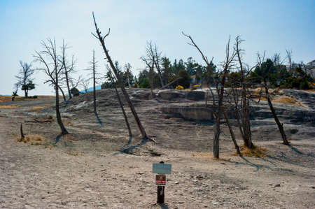 Cavern Terrace a dead terrace in Mammoth Hot Springs Yellowstone National Parkの写真素材