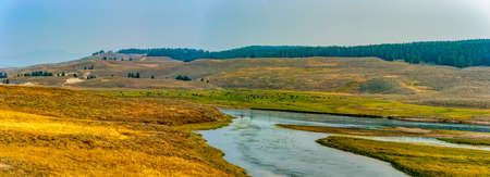 American bison grazing in a meadow near the Lamar River in Yellowstoneの写真素材
