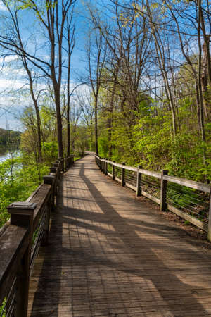 Serene boardwalk through a natural wilderness encouraging outdoor recreationの写真素材