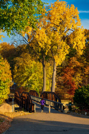 Women jogging over a pedestrian bridge during the peak of fall foliageのeditorial素材