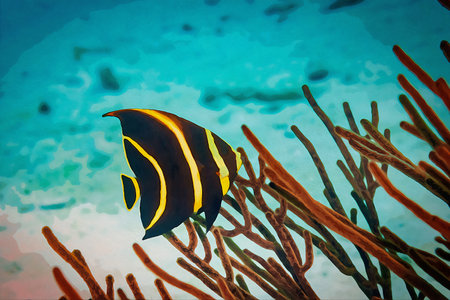 Digitally created watercolor painting of Juvenile French Angelfish Pomacanthus paru swimming over the coral reefの写真素材