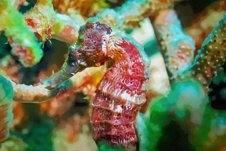 Digitally created watercolor painting of a short snouted seahorse Hippocampus hippocampus in its natural environmentの写真素材