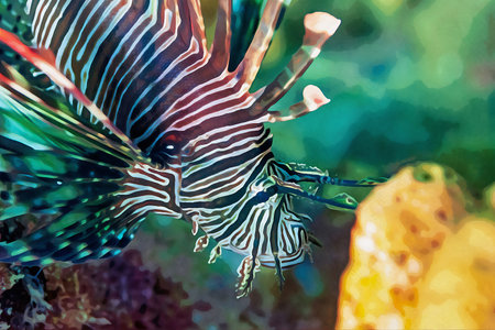 Digitally created watercolor painting of dangerous lionfish hovering over the coral reefの写真素材