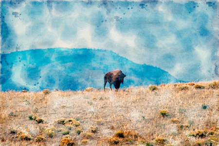 Digitally created watercolor painting of a wild bison standing on a hill in Yellowstone National Parkの写真素材