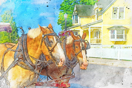 Digitally created watercolor painting of a pair of horses pulling a carriage on Mackinac Islandの写真素材