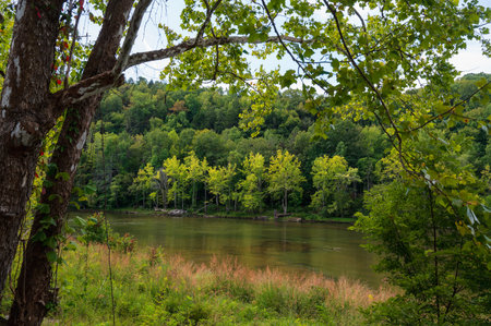 A peaceful view of the Cumberland River near the Cumberland Falls in Kentuckyの写真素材