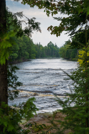 Tahquamenon River Nestled Amidst Lush Greeneryの写真素材