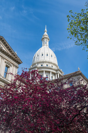 Michigan Capitol Dome with Blooming Spring Trees with Copy-Spaceの写真素材
