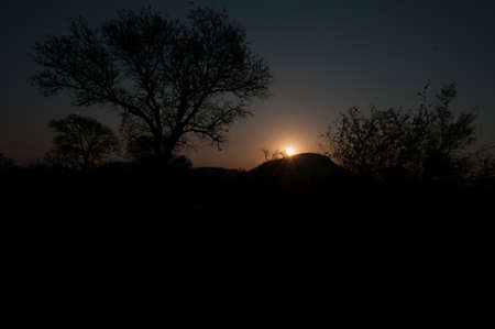 sunset in Kruger parkの写真素材